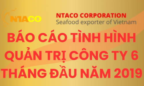 BÁO CÁO TÌNH HÌNH QUẢN TRỊ CÔNG TY 6 THÁNG ĐẦU NĂM 2019