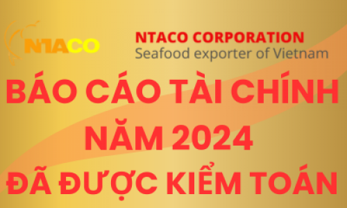 Báo cáo tài chính năm 2024 đã được kiểm toán