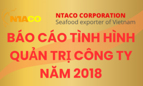 BÁO CÁO TÌNH HÌNH QUẢN TRỊ CÔNG TY NĂM 2018