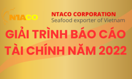 GIẢI TRÌNH BÁO CÁO TÀI CHÍNH NĂM 2022