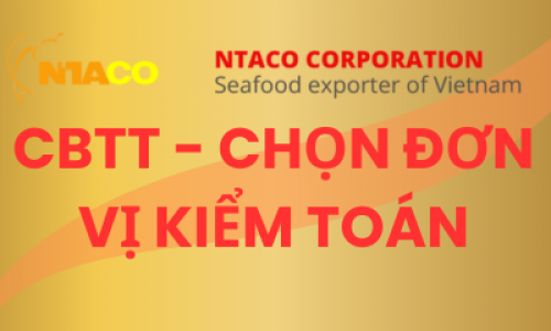 CBTT - CHỌN ĐƠN VỊ KIỂM TOÁN