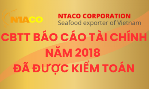 CBTT BÁO CÁO TÀI CHÍNH NĂM 2018 ĐÃ ĐƯỢC KIỂM TOÁN