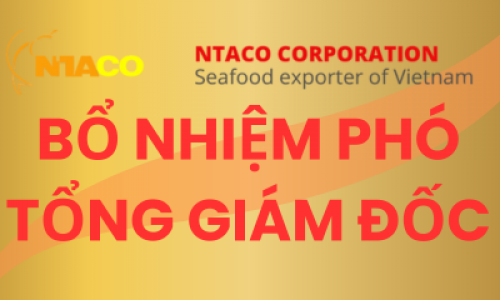 BỔ NHIỆM PHÓ TỔNG GIÁM ĐỐC