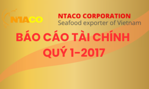 BÁO CÁO TÀI CHÍNH QUÝ 1-2017