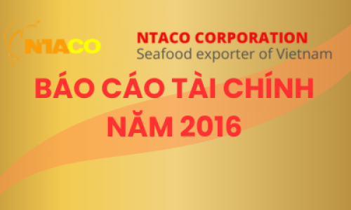 BÁO CÁO TÀI CHÍNH NĂM 2016