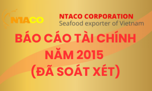 BÁO CÁO TÀI CHÍNH 2015 (ĐÃ SOÁT XÉT)