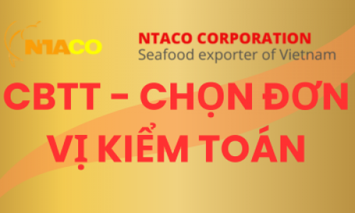 CBTT - CHỌN ĐƠN VỊ KIỂM TOÁN