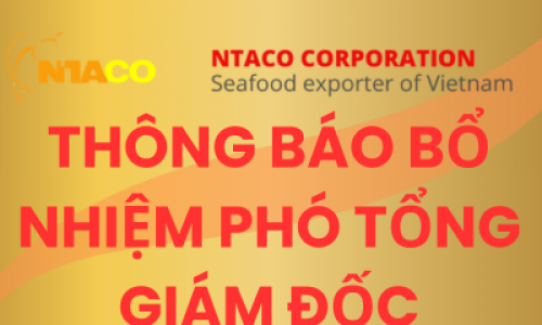 THÔNG BÁO BỔ NHIỆM PHÓ TỔNG GIÁM ĐỐC