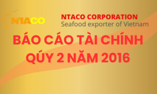 BÁO CÁO TÀI CHÍNH QÚY 2 NĂM 2016