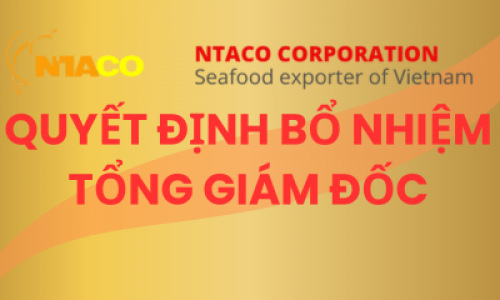 QUYẾT ĐỊNH BỔ NHIỆM TỔNG GIÁM ĐỐC