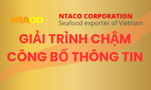 GIẢI TRÌNH CHẬM CÔNG BỐ THÔNG TIN