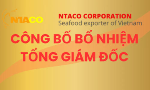 CÔNG BỐ BỔ NHIỆM TỔNG GIÁM ĐỐC