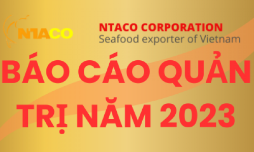 Báo cáo quản trị năm 2023