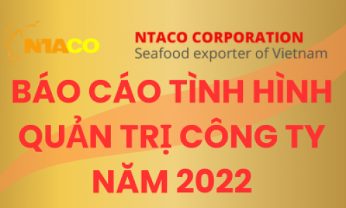 BÁO CÁO TÌNH HÌNH QUẢN TRỊ CÔNG TY NĂM 2022