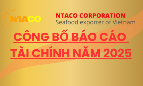 Công bố  báo cáo tài chính năm 2025 